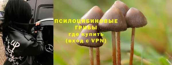 apvp Алексеевка