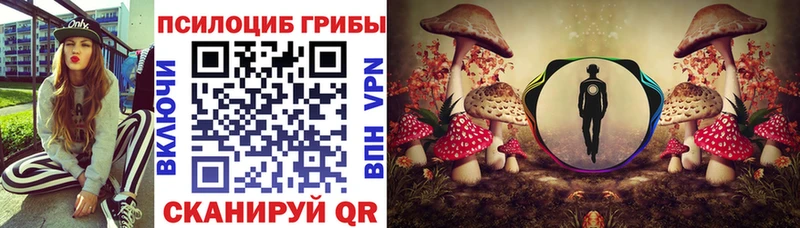 Купить закладки  Новоалександровск  Псилоцибиновые грибы прущие грибы 